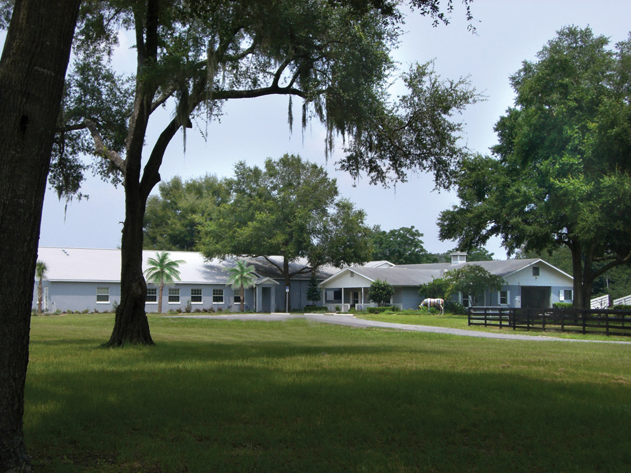 Ferguson & Associates Equine Hospital is located on eleven beautifully-wooded acres in the northwest area of Ocala