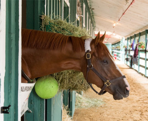 Race Track Medical Care