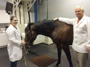Equine Nuclear Scintigraphy