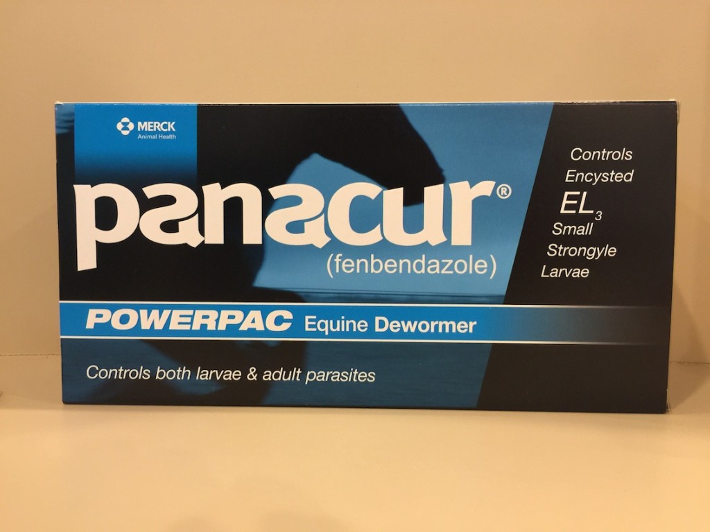 panacur for horses